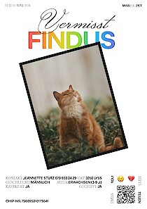 Findus